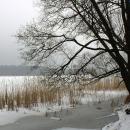 Jezioro Sajno w Augustowie, autor: Mariusz Chilmon